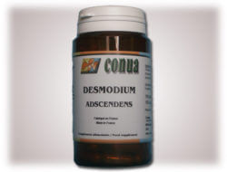 Desmodium